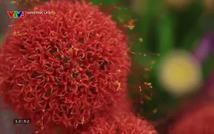 Hạnh phúc là gì?: Nghệ nhân Nguyễn Văn Đức