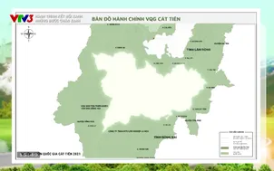 Hành trình kết nối xanh: Những bước chân xanh
