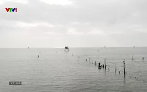 Khám phá Việt Nam: Khám phá Cồn Đen