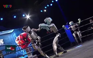 Toàn cảnh 24h tối - 26/5/2025