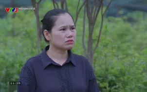 Nhà nông vui vẻ: Hướng dẫn trồng măng tây bằng cây giống