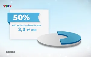 Phóng sự: Thải độc chất cấm Cadimin trong sầu riêng và câu chuyện phát triển bền vững