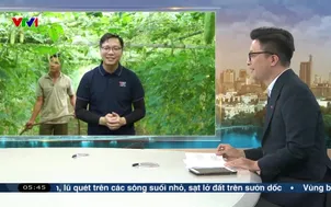 Buổi sáng thức giấc - 28/5/2025