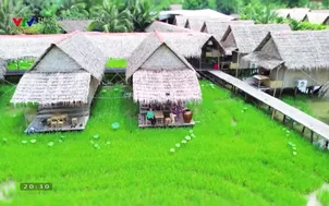 Thương nhớ miền Tây: 		Rủ nhau về đồng