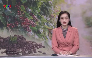 Bản tin tiếng Nga - 27/5/2025