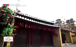 Một vòng Việt Nam: Lạc giữa thiên nhiên xứ Quảng