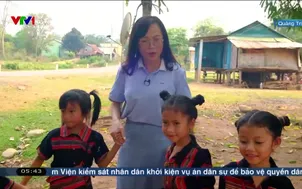 Việt Nam thức giấc - 29/5/2025