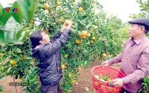 Bản tin tiếng Nga - 29/5/2025