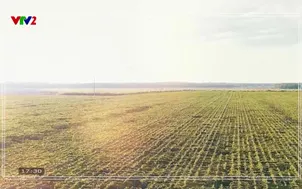 Đường tới nông trại: Quản lý mã số vùng trồng