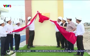 Năng lượng xanh 2025 - Số 8