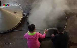 Học và làm theo Bác: Chí bền vượt khó