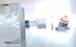 Thương hiệu quốc gia Việt Nam - 31/5/2025