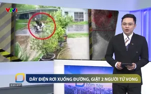 5 phút hôm nay - 31/5/2025