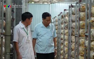 Ánh sáng tri thức: Khoa học vì cuộc sống