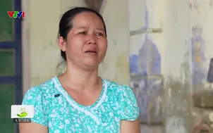 Cặp lá yêu thương - 31/5/2025