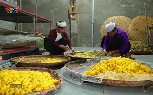 Hành trình vẻ đẹp - 31/5/2025