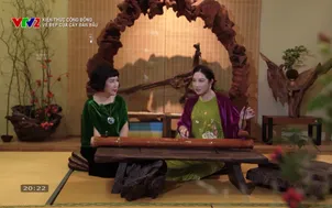 Kiến thức cộng đồng: Vẻ đẹp của cây đàn bầu