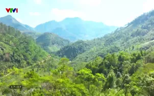 Khám phá Việt Nam: Hương sắc vùng biên