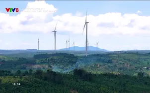 Tây Nguyên hôm nay: Đa dạng hình thức khởi nghiệp