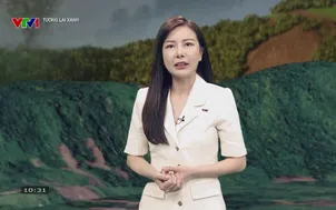 Tương lai xanh - 31/5/2025