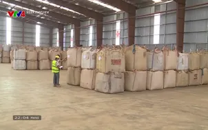 Week in Review - 31/5/2025