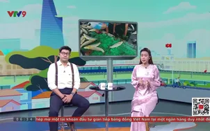 Biết gì chưa - 01/6/2025
