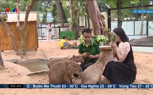 Buổi sáng thức giấc - 01/6/2025