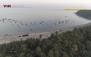 Từ những miền quê: Chuyện của ngư dân ở Tam Hải