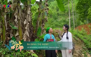 Hành trình vẻ đẹp - 02/62025