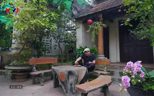 Nhà nông vui vẻ: Thời điểm lý tưởng để thụ phấn cho cây cà chua