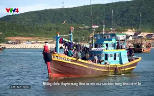 Nhịp đập Việt Nam: Mùa câu mực ở Ba Đồng