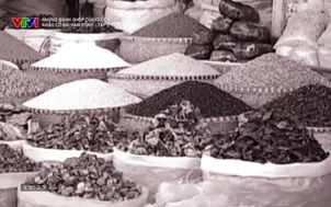 Những mảnh ghép của cuộc sống: Khảo cổ bãi Hàm Rồng - Tập 2