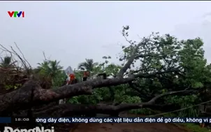 Việt Nam hôm nay - 02/6/2025