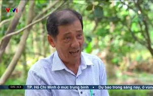 Buổi sáng thức giấc - 03/6/2025