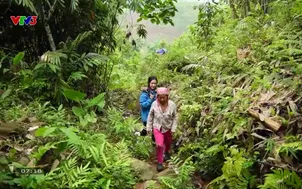 Nét ẩm thực Việt: Gà người Mảng vị ngon neo giữa lưng đồi