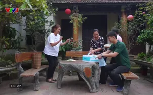 Nhà nông vui vẻ: Phân biệt cà chua Beef và cà chua thường