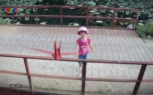 V - Việt Nam: 	Động Người Xưa