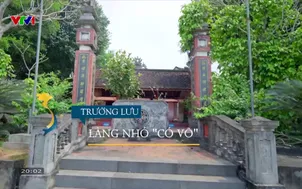 S - Việt Nam: Trường Lưu - Làng nhỏ có võ