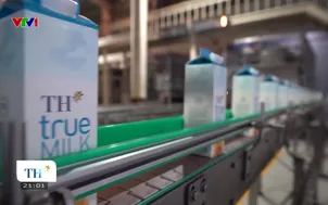 Thương hiệu quốc gia Việt Nam - 04/6/2025