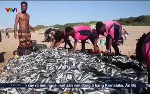 Thế giới hôm nay - 04/6/2025