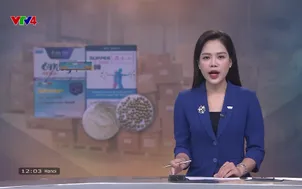 Bản tin tiếng Việt 12h VTV4 - 04/6/2025