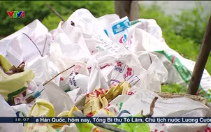Việt Nam hôm nay - 04/6/2025