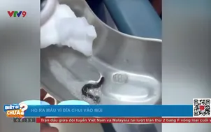 Biết gì chưa - 05/6/2025