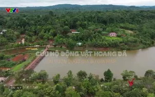 V - Việt Nam: Vườn Quốc gia Bù Gia Mập