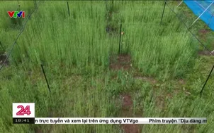 Chuyển động 24h tối - 06/6/2025