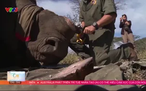 Cà phê sáng - 07/6/2025