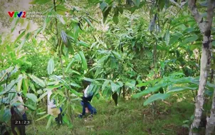 Khám phá: Bí ẩn địa mạo miền Tây xứ Nghệ - Tập 4