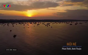 Nhịp đập Việt Nam: Chợ cá Mũi Né