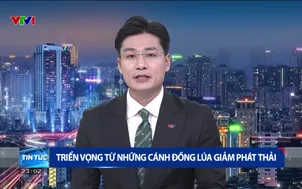 Thời sự 23h VTV1 - 07/6/2025