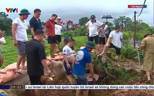 Người dân Thái Nguyên ứng phó ngập lụt